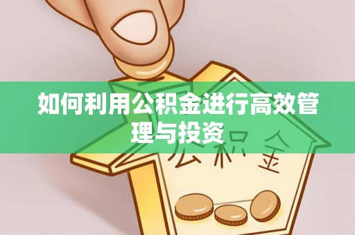 郁南如何利用公积金进行高效管理与投资